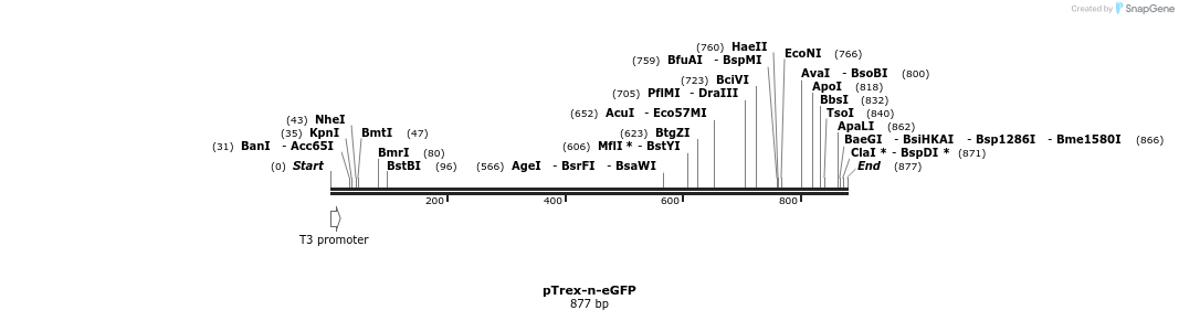 106896_map