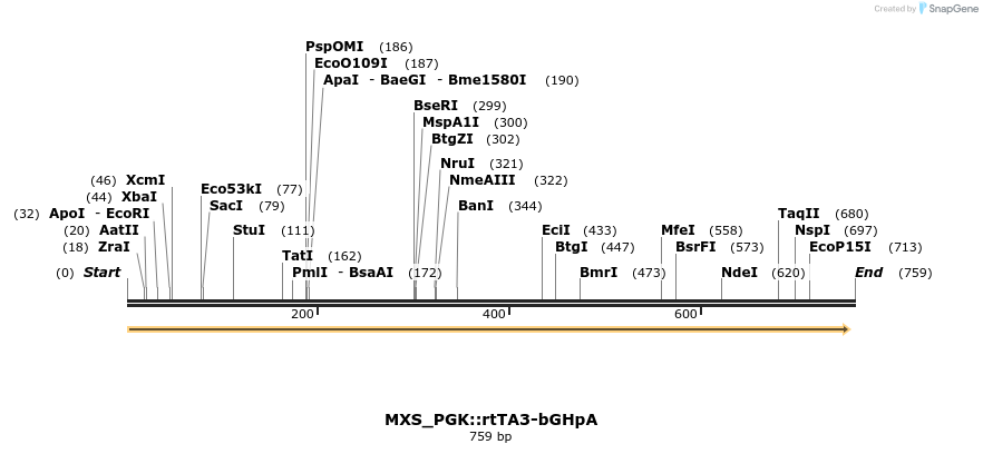 106897_map