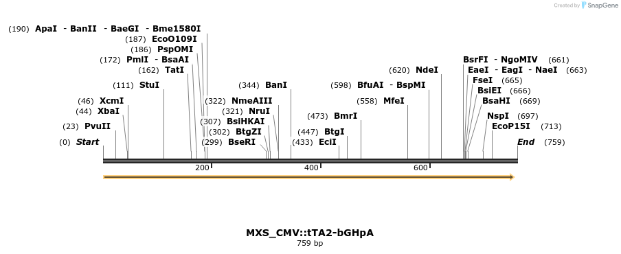 106898_map