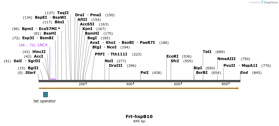 106899_map