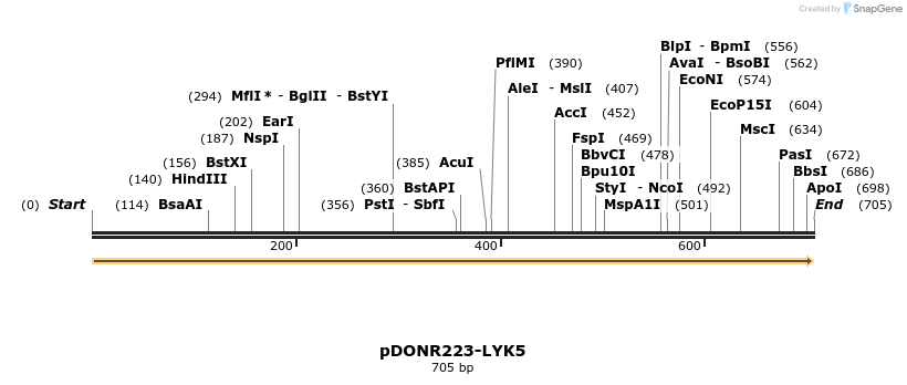 10690_map