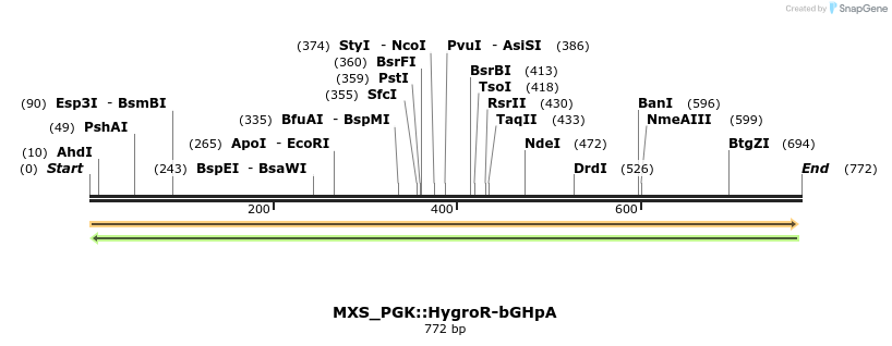 106900_map