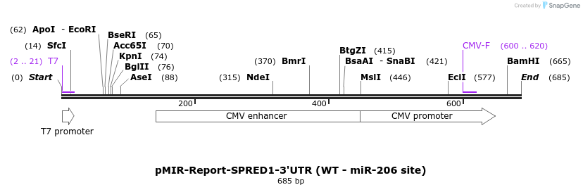 106905_map