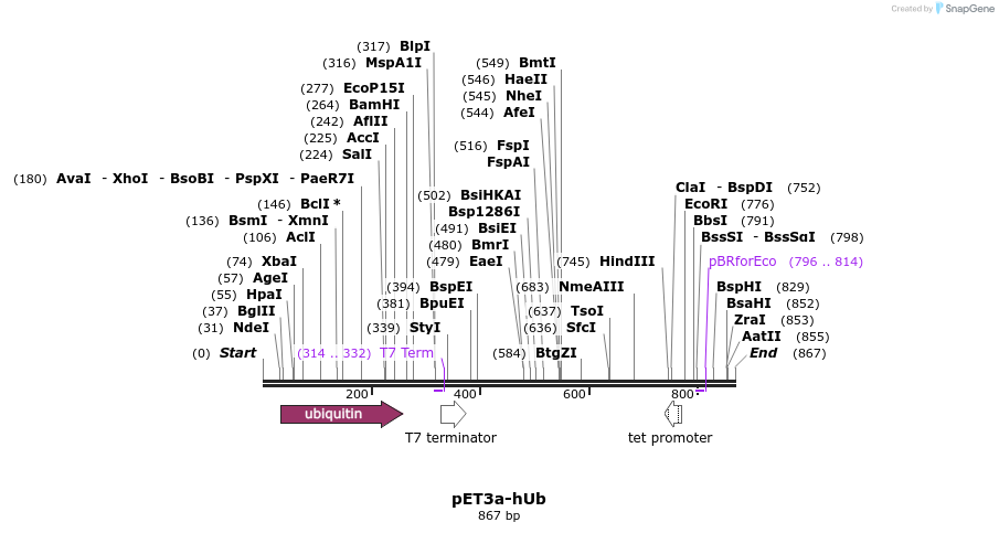 106906_map