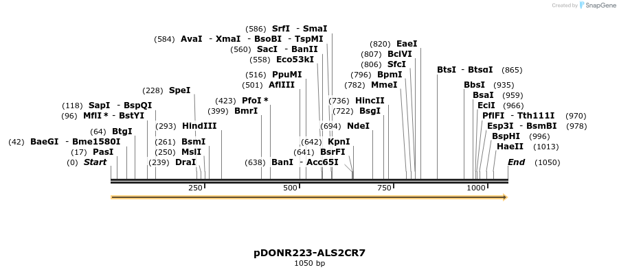 10691_map