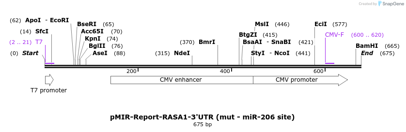 106912_map