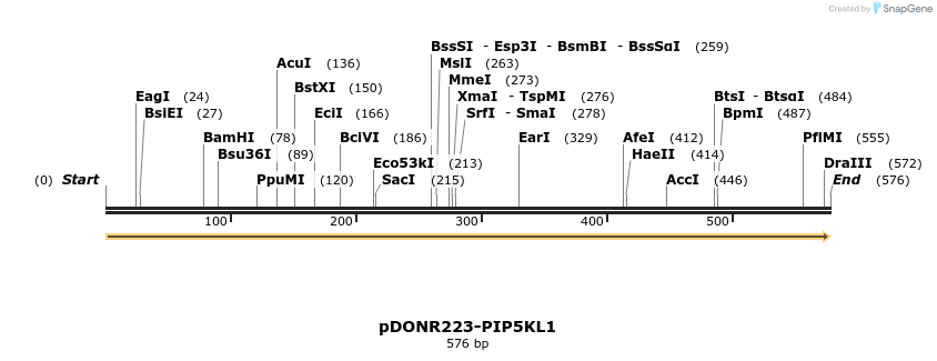 10692_map