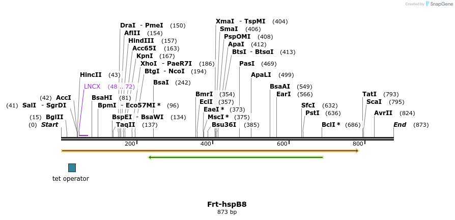 106932_map