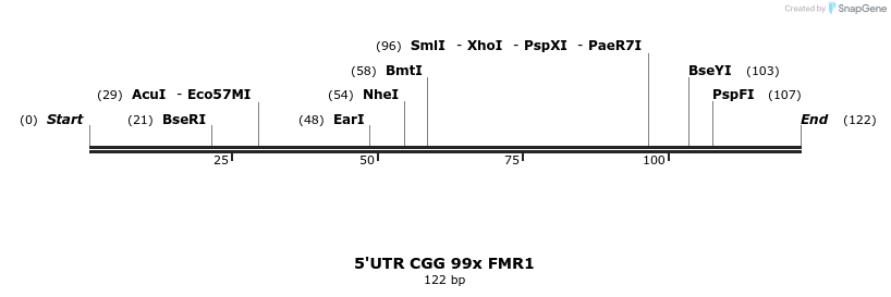 106943_map