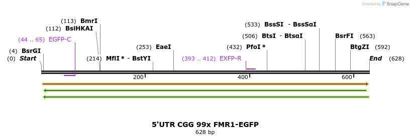 106946_map