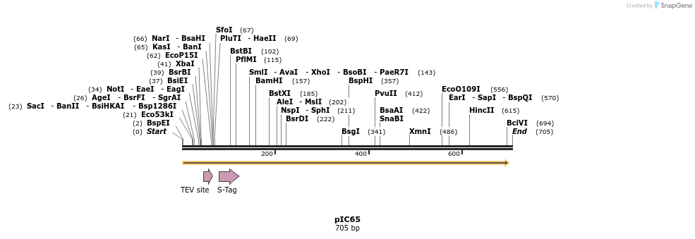 106956_map