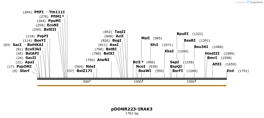 10696_map