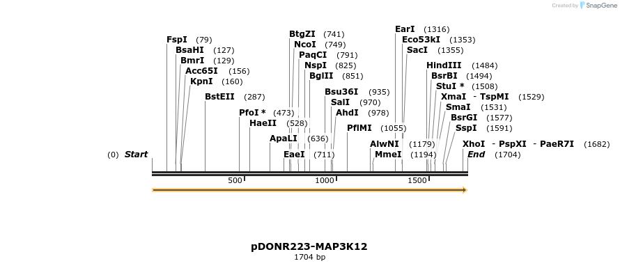 10697_map