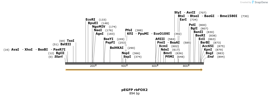 106973_map