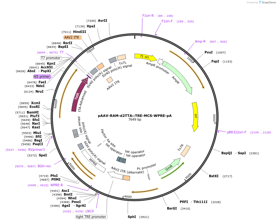 106989_map