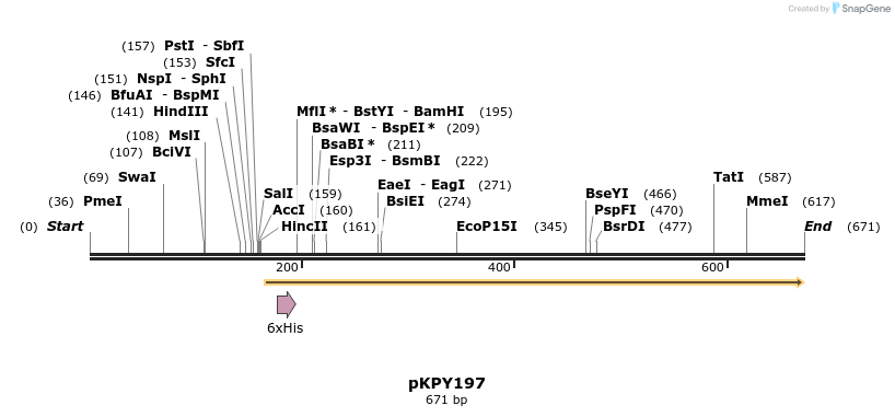 106990_map