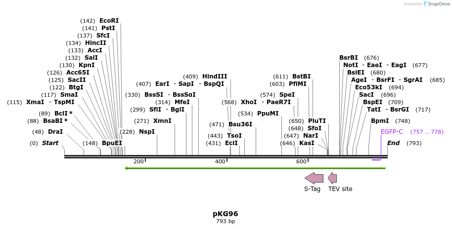 106993_map