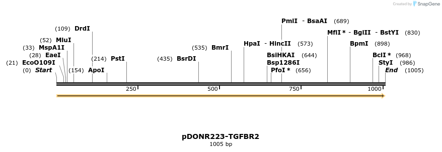 10700_map