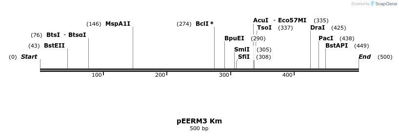 107008_map