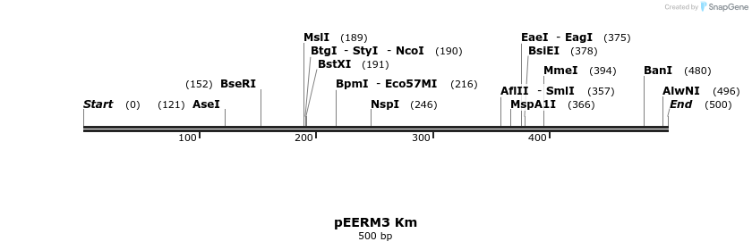 107010_map