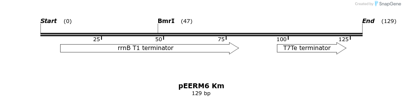 107016_map