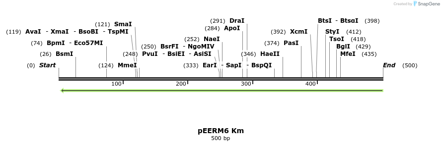 107017_map