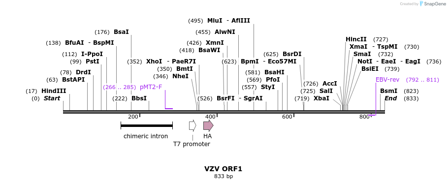 107018_map