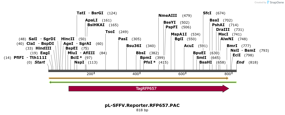 107020_map