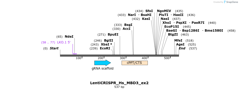 107022_map
