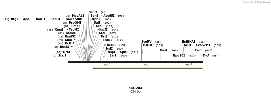 107024_map