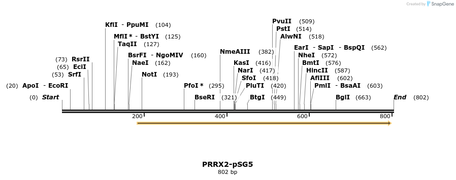 107026_map