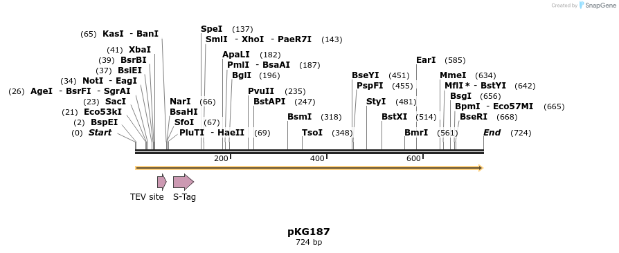 107032_map