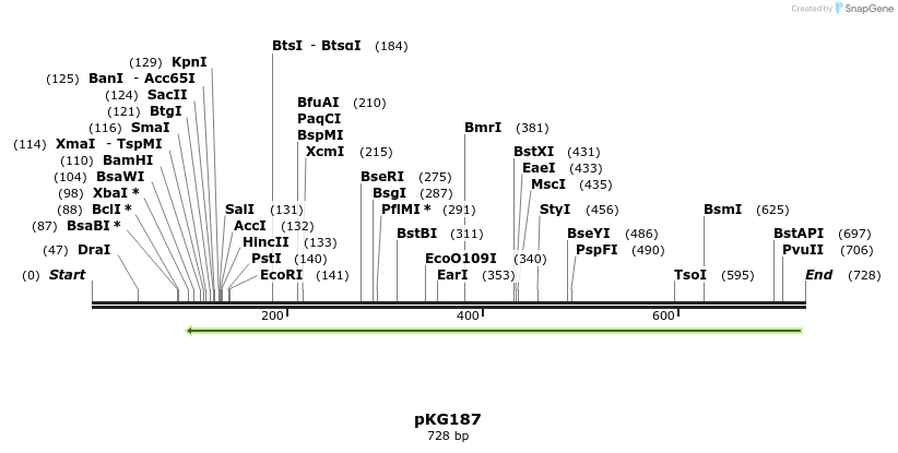 107033_map
