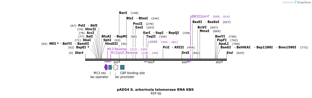 107038_map
