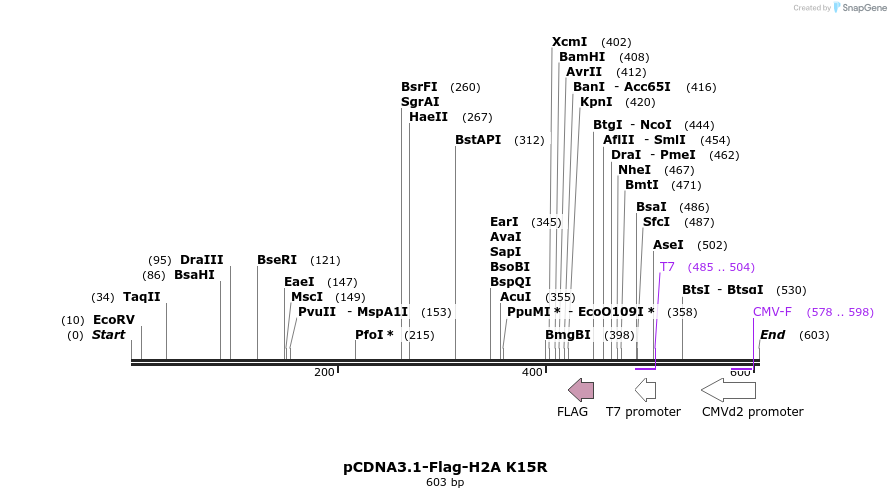 107039_map