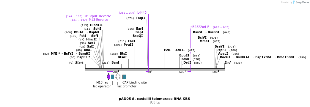 107040_map
