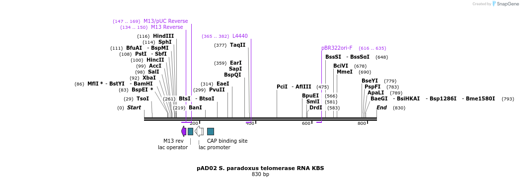 107044_map