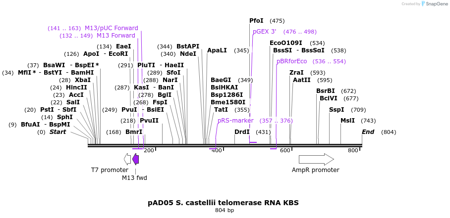 107047_map