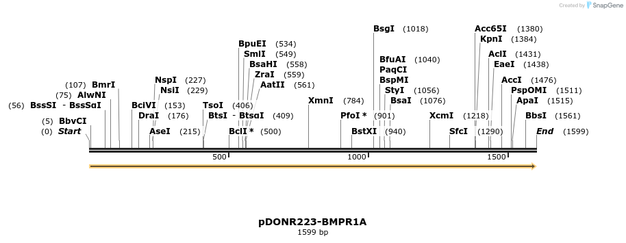 10705_map