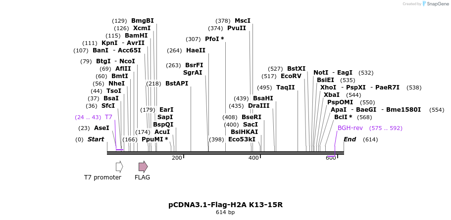 107057_map