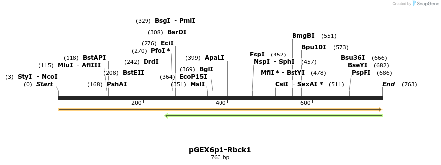 107059_map