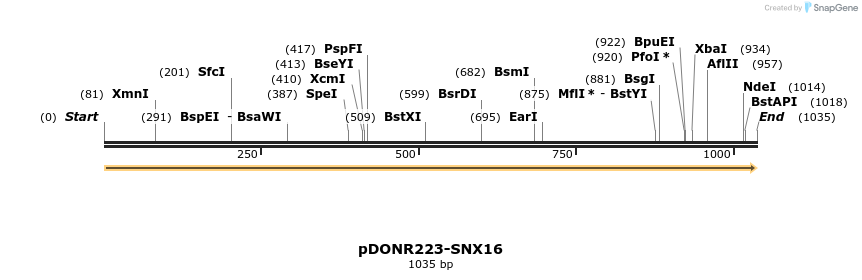 10706_map
