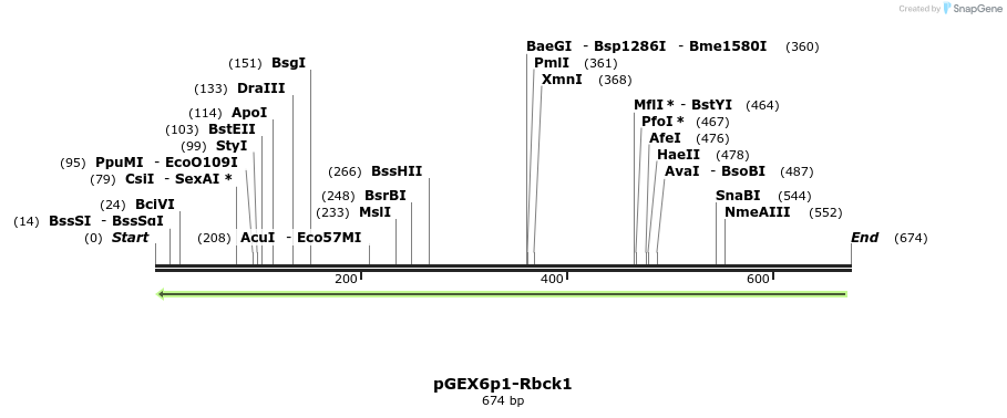 107060_map