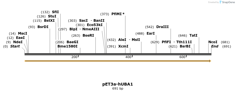 107061_map