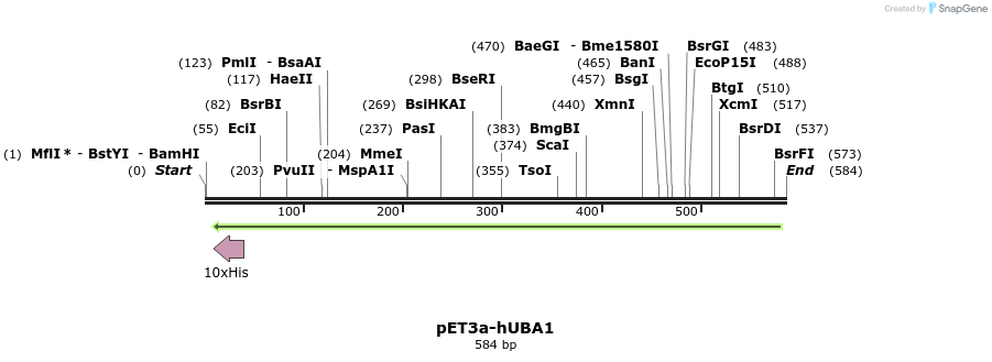 107062_map