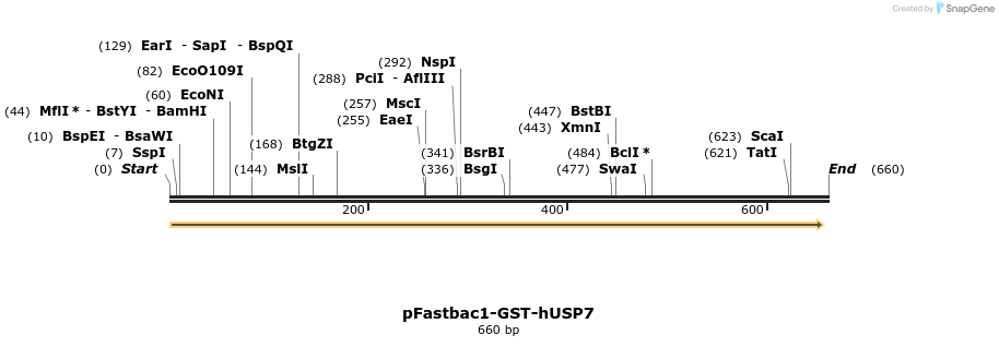 107064_map