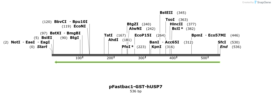 107065_map