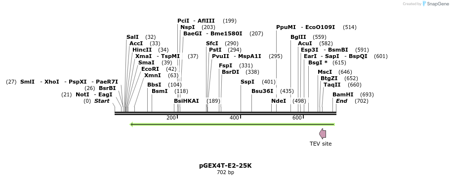 107067_map