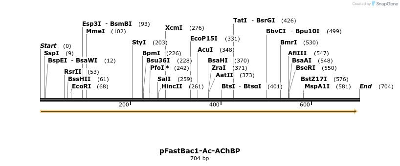 107068_map