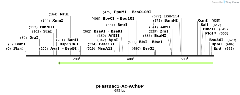 107069_map